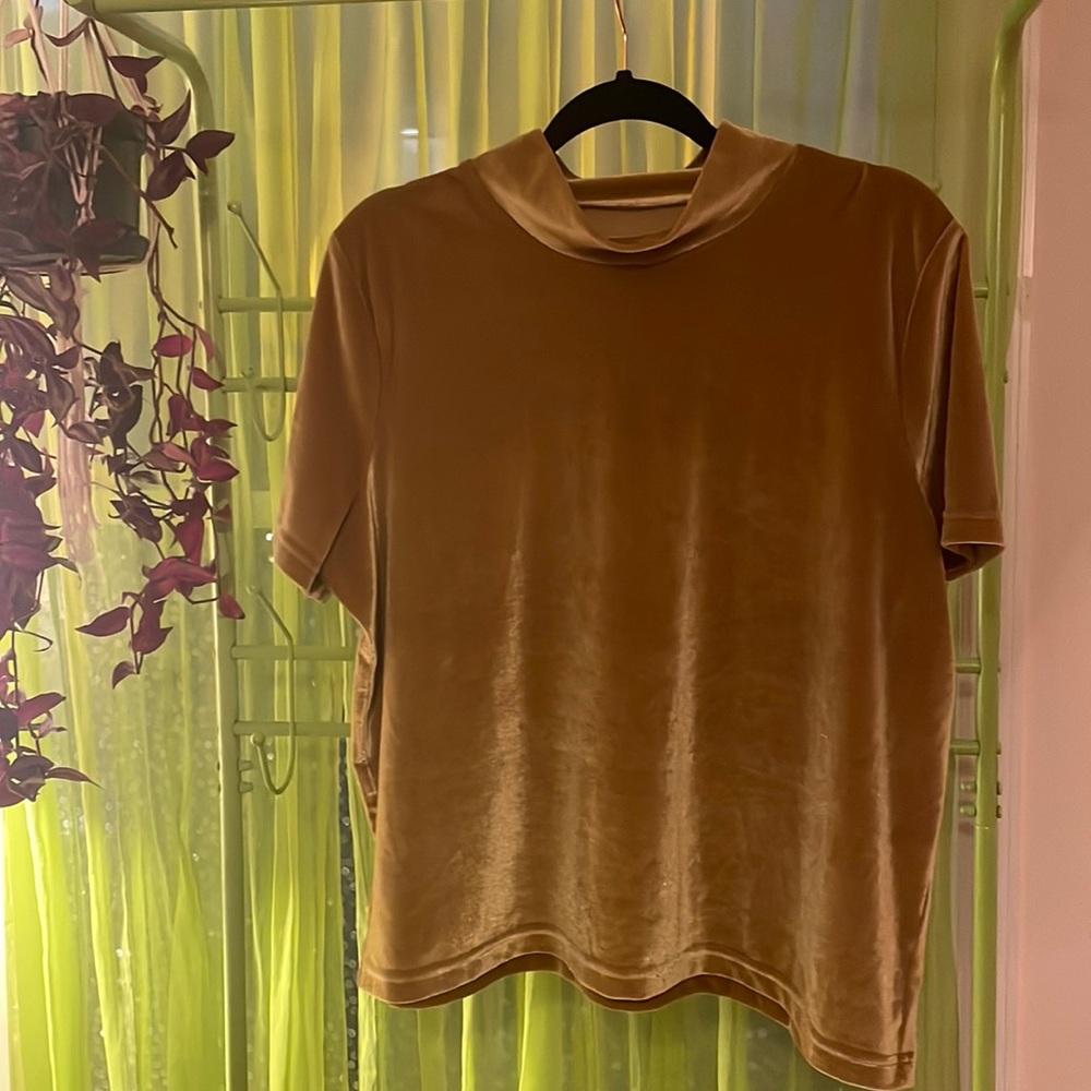 Mustard Velvet Madewell Mockneck